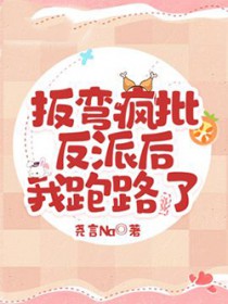 掰弯反派攻略