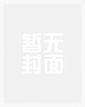 崇祯重征天下